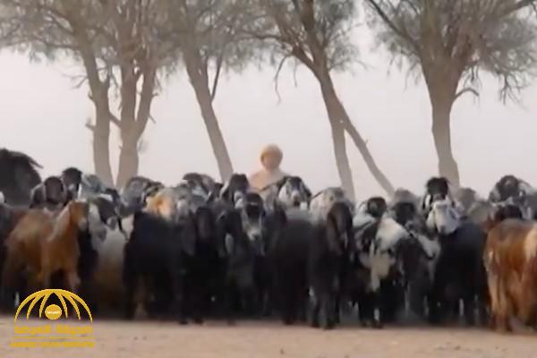 الصيف يلملم أمتعته.. بالفيديو: "الزعاق" يكشف عن الأيام الأهم نفسياً وزراعياً واقتصادياً خلال السنة