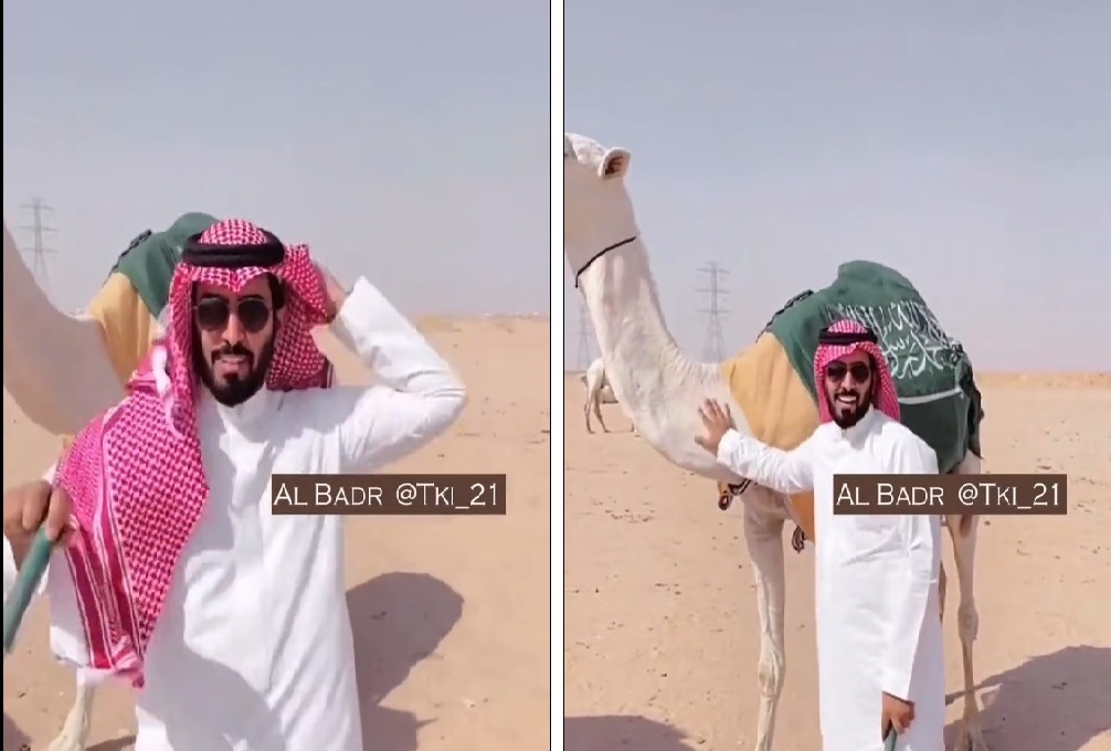 "هلا بالملايين".. شاهد: عبدالرحمن المطيري يقتني "ناقة" لدخول عالم مزايين الإبل