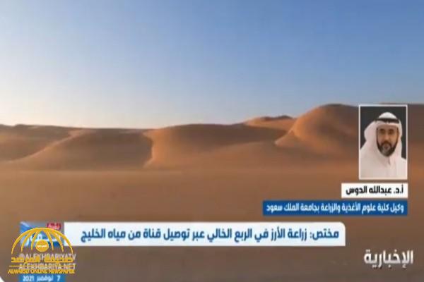 بعد اقتراح  السحيباني الغريب .. شاهد: خبير يحذر من زراعة الأرز في صحراء الربع الخالي ويكشف السبب