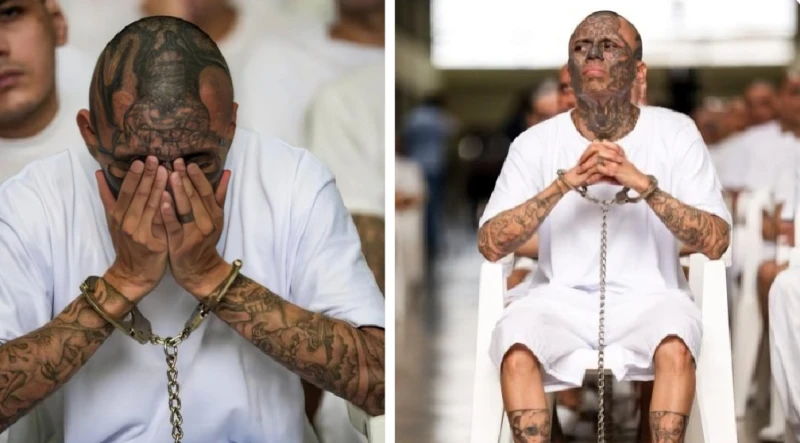 بالفيديو: محاكمة جماعية في السلفادور لأكثر من 400 مجرم من أفراد "العصابات” بتهمة قتل 29 ألف شخص