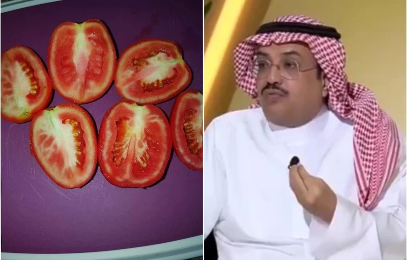 هل الابيضاض داخل الطماطم يسبب فشل كلوي؟.. النمر يجيب ويحسم الجدل