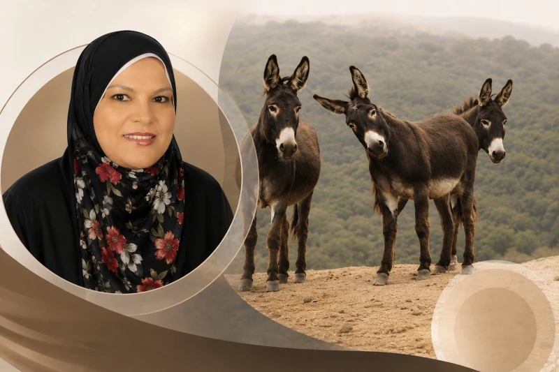 مديرة عام المجازر في مصر: لم يثبت علميًا وجود مضرة من تناول لحوم الحمير .. ويتم ذبحها من أجل إطعام الأسود والنمور !